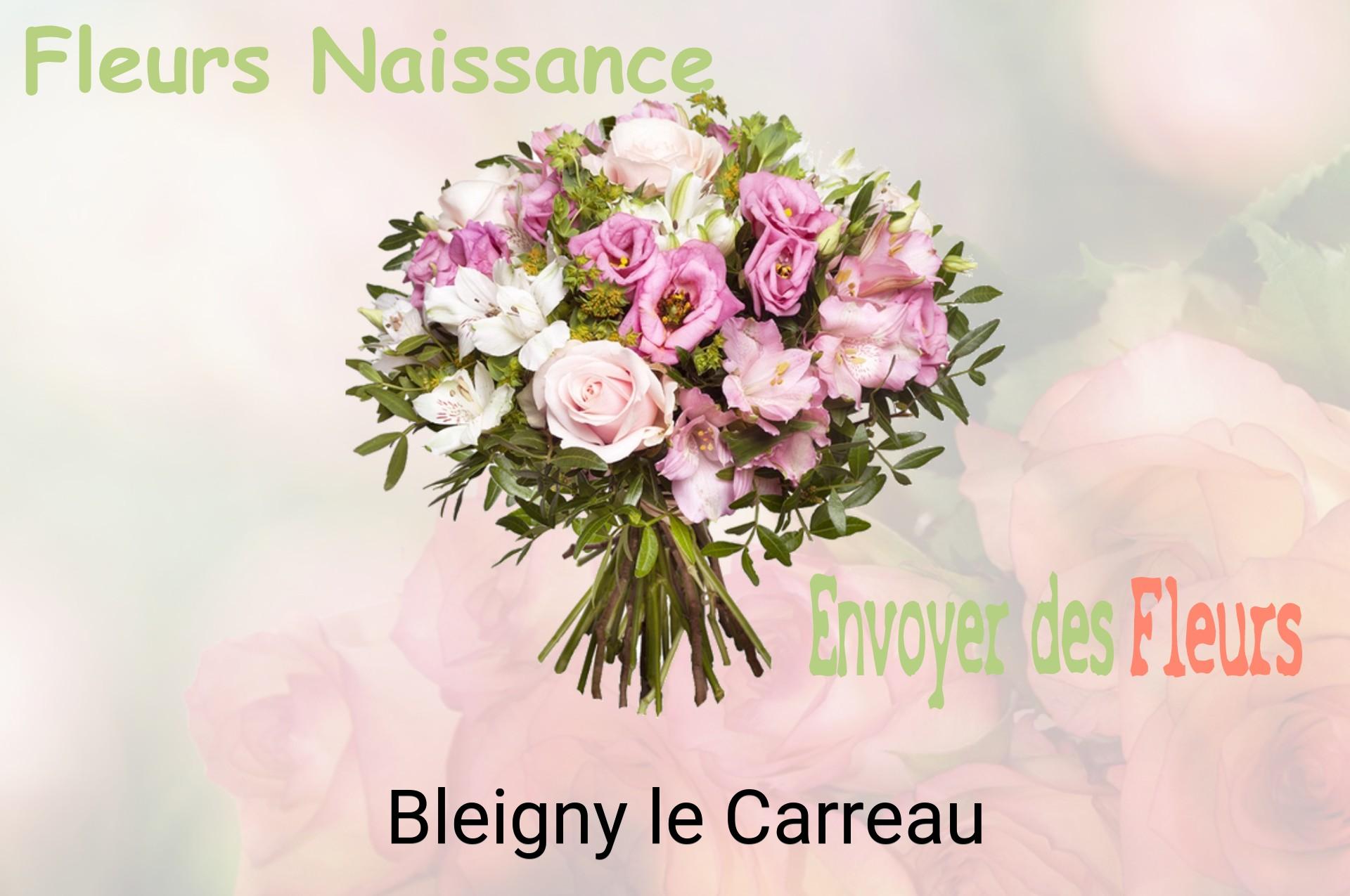 Bouquet de fleurs de naissance livré à Bleigny-le-Carreau